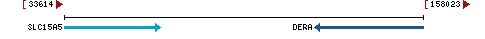 Genomic Context describing neighboring genes