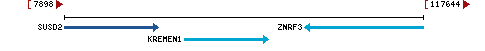 Genomic Context describing neighboring genes