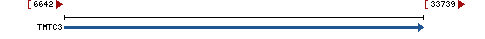 Genomic Context describing neighboring genes