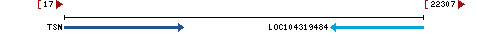 Genomic Context describing neighboring genes