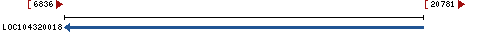 Genomic Context describing neighboring genes