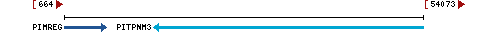 Genomic Context describing neighboring genes