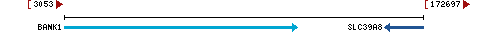 Genomic Context describing neighboring genes