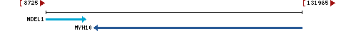 Genomic Context describing neighboring genes