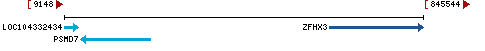 Genomic Context describing neighboring genes