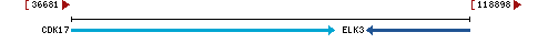 Genomic Context describing neighboring genes