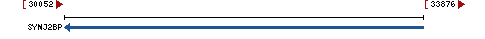 Genomic Context describing neighboring genes