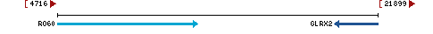 Genomic Context describing neighboring genes