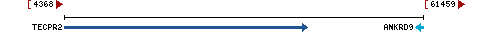 Genomic Context describing neighboring genes