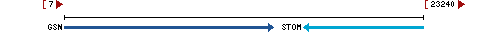 Genomic Context describing neighboring genes