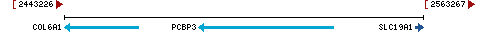 Genomic Context describing neighboring genes