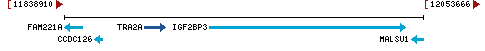 Genomic Context describing neighboring genes