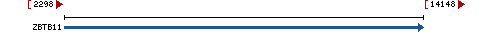 Genomic Context describing neighboring genes