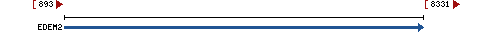 Genomic Context describing neighboring genes