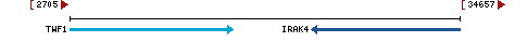 Genomic Context describing neighboring genes