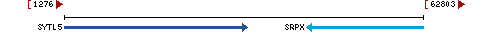 Genomic Context describing neighboring genes