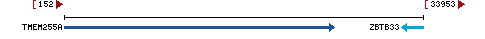 Genomic Context describing neighboring genes