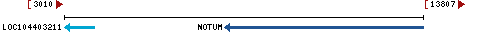 Genomic Context describing neighboring genes