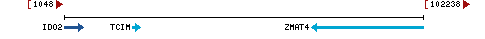 Genomic Context describing neighboring genes