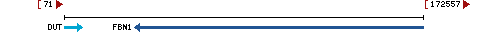 Genomic Context describing neighboring genes