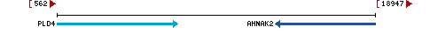 Genomic Context describing neighboring genes