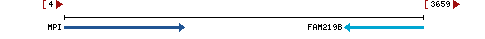 Genomic Context describing neighboring genes