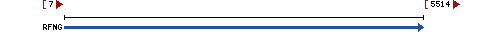 Genomic Context describing neighboring genes