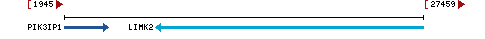 Genomic Context describing neighboring genes