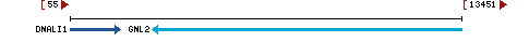 Genomic Context describing neighboring genes