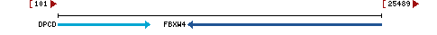 Genomic Context describing neighboring genes