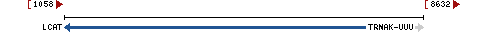 Genomic Context describing neighboring genes