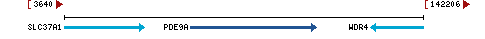 Genomic Context describing neighboring genes