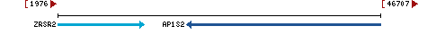 Genomic Context describing neighboring genes