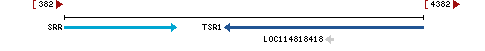 Genomic Context describing neighboring genes