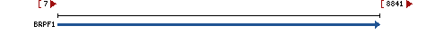 Genomic Context describing neighboring genes