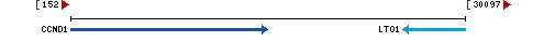 Genomic Context describing neighboring genes