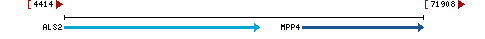 Genomic Context describing neighboring genes