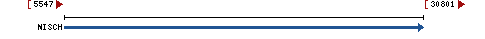 Genomic Context describing neighboring genes