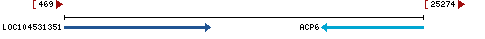 Genomic Context describing neighboring genes