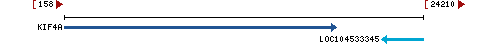 Genomic Context describing neighboring genes