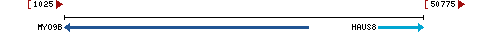 Genomic Context describing neighboring genes