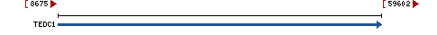 Genomic Context describing neighboring genes