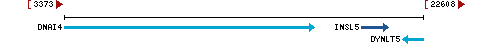 Genomic Context describing neighboring genes