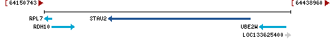 Genomic Context describing neighboring genes