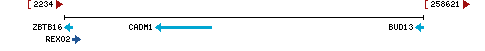 Genomic Context describing neighboring genes