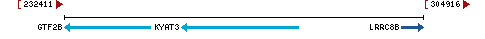 Genomic Context describing neighboring genes