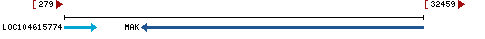 Genomic Context describing neighboring genes