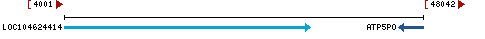 Genomic Context describing neighboring genes