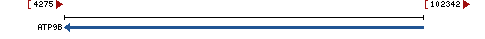 Genomic Context describing neighboring genes