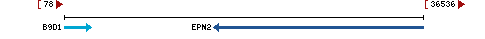 Genomic Context describing neighboring genes